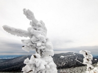 Parc national du Mont-Mégantic -Secteur de l'Observatoire